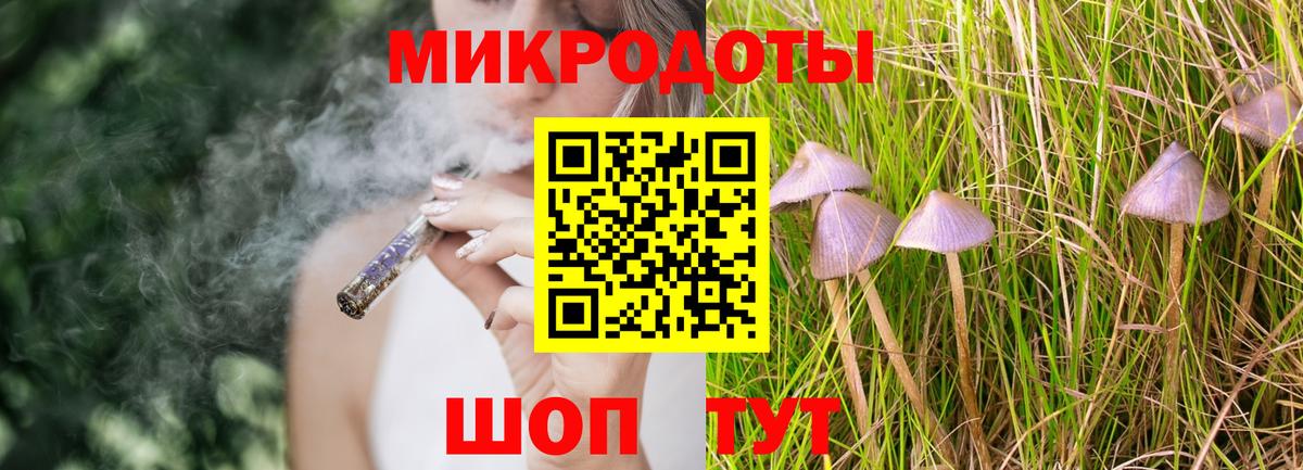 Ижевск  Галлюциногенные грибы прущие грибы  Вход с VPN 
