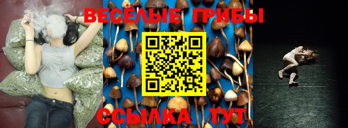 Галлюциногенные грибы Magic Shrooms Ижевск
